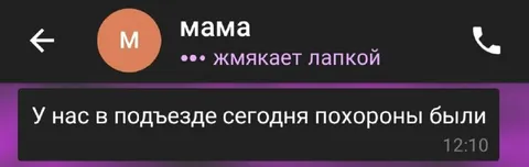 Мама жмякает лапкой