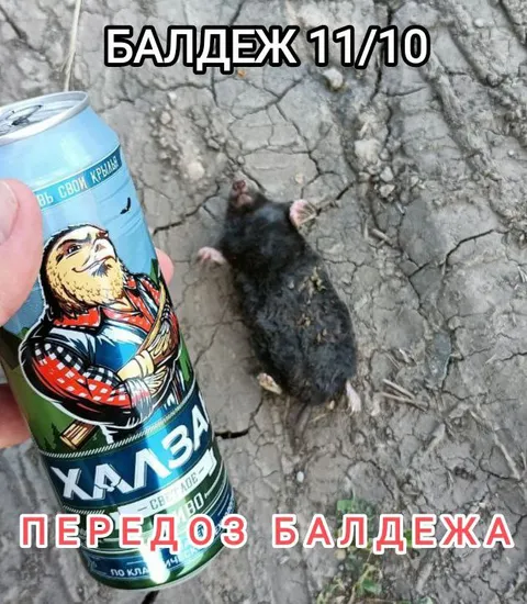 Передоз балдежа 11/10