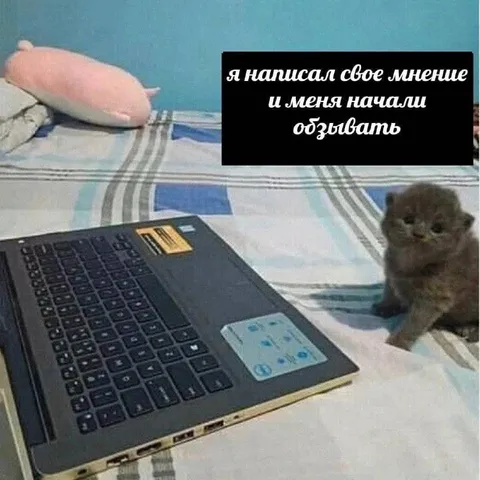 Мнение вызвало оскорбления