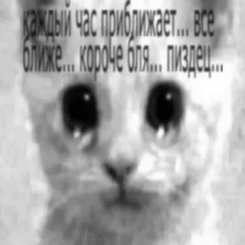 Каждый час всё ближе пиздец