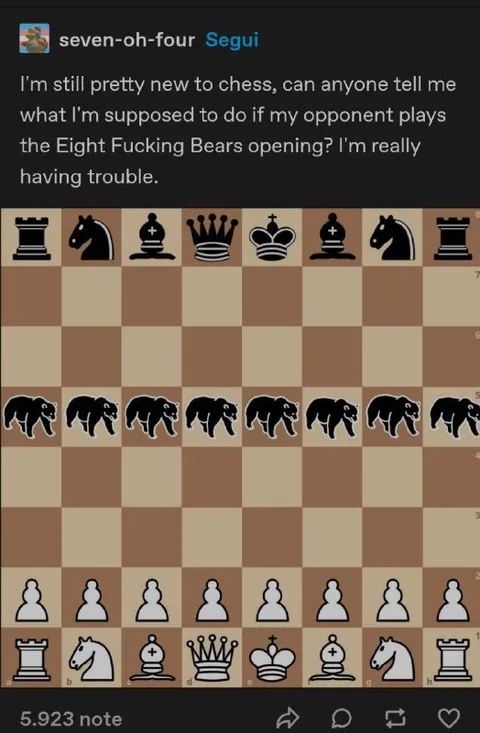 Eight Fucking Bears Opening