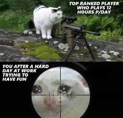 Cat Sniper After Work