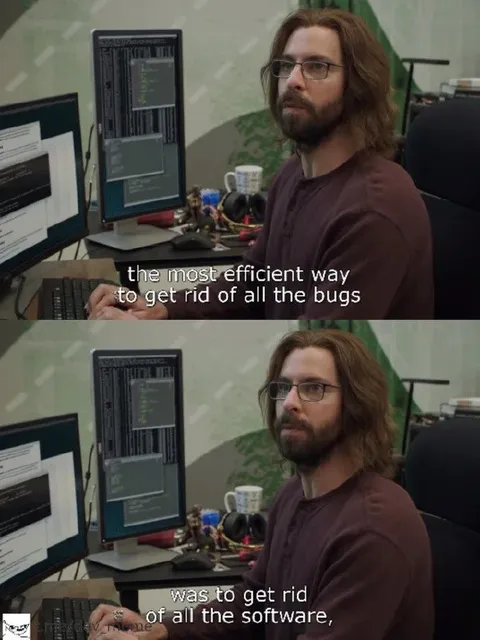 The Most Efficient Way to Remove Bugs