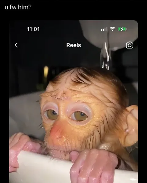 You Fuck With Him Monkey