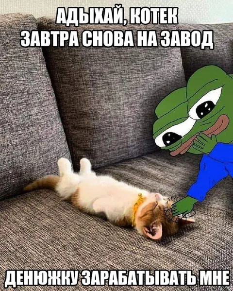 Кот отдыхает перед заводом