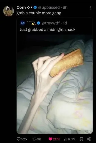 Midnight Snack in Bed