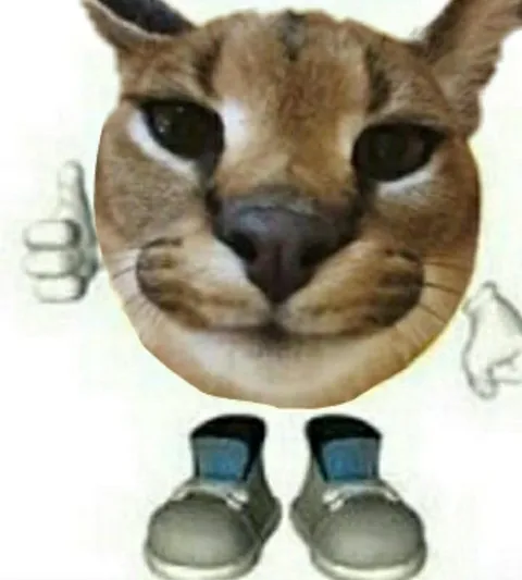Кот в нелепом костюме