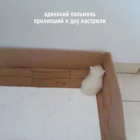 Одинокий пельмень на дне кастрюли