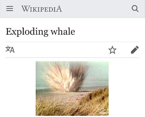 Exploding Whale Wikipedia