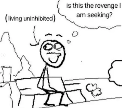 Is This the Revenge I Am Seeking