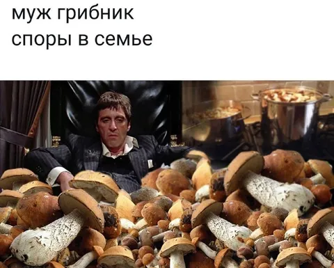 Муж-грибник спорит в семье
