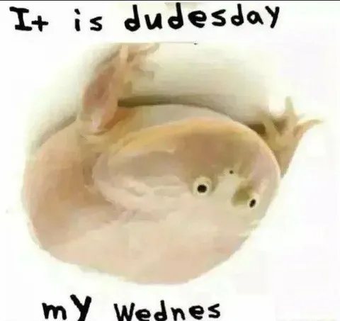 It Is Dudesday My Wednes