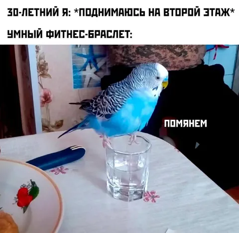 Умный браслет помянем