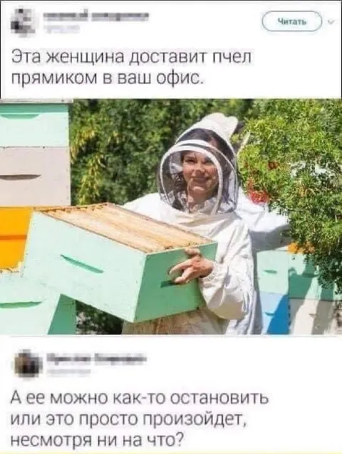 Пчелы прямиком в офис