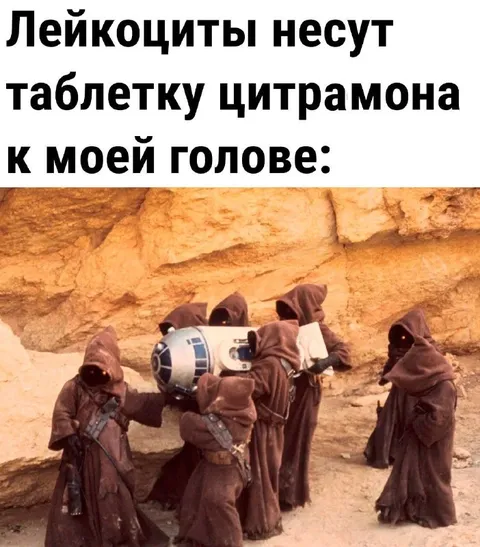 Лейкоциты несут цитрамон