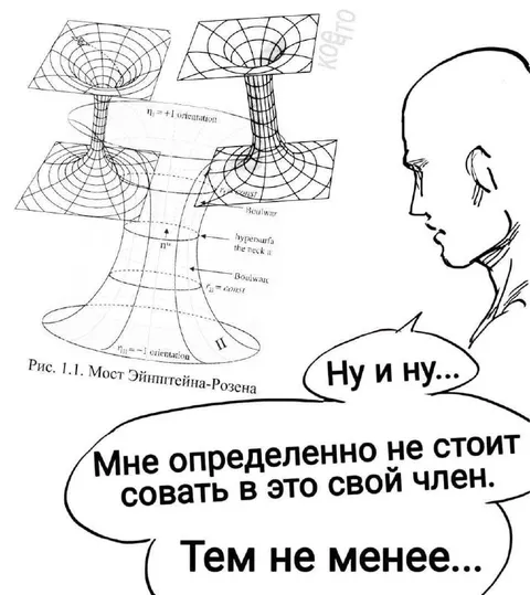 Мост Эйнштейна—Розена и член