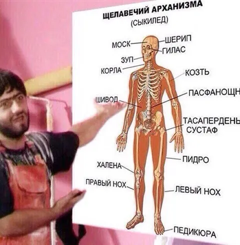 Щелавечий арханизма схема