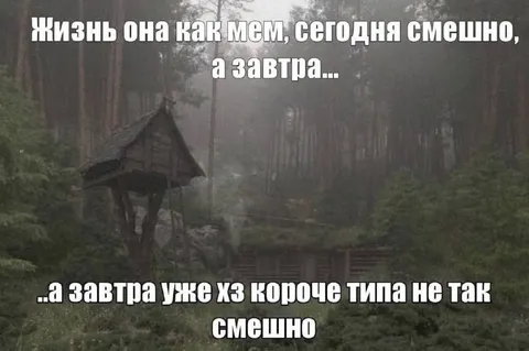 Жизнь как мем сегодня смешно