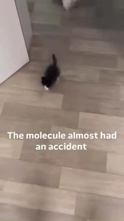 The Molecule Almost Had an Accident