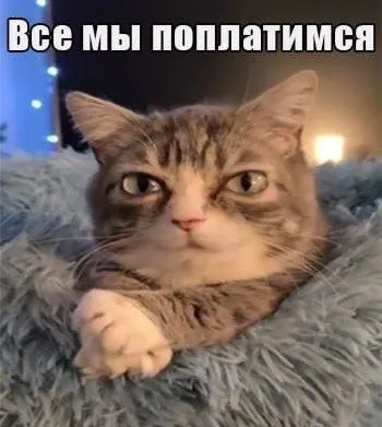 Все мы поплатимся