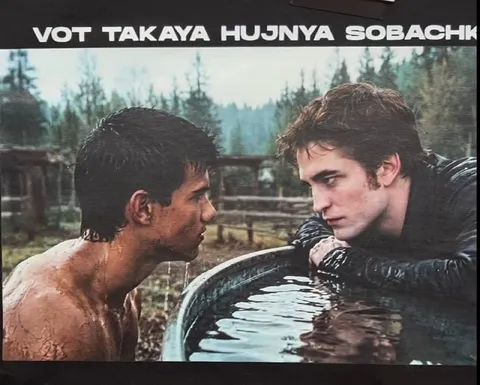 Вот такая хуйня собачки