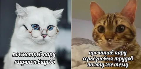 Пара научпоп видео и серьёзных трудов