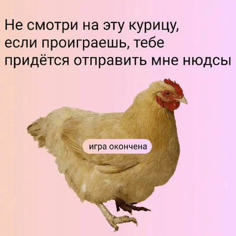 Не смотри на курицу
