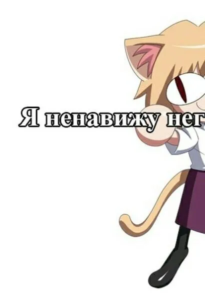 Я ненавижу нег