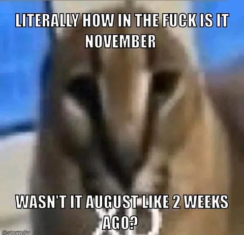 How Is It November Already