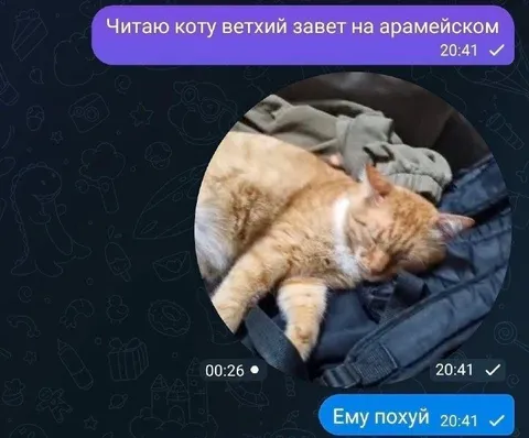 Коту читают Ветхий Завет