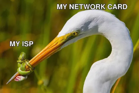 Network Card Grabs ISP