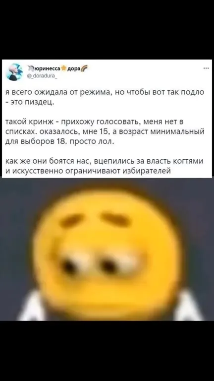 Мне 15, а выборы с 18