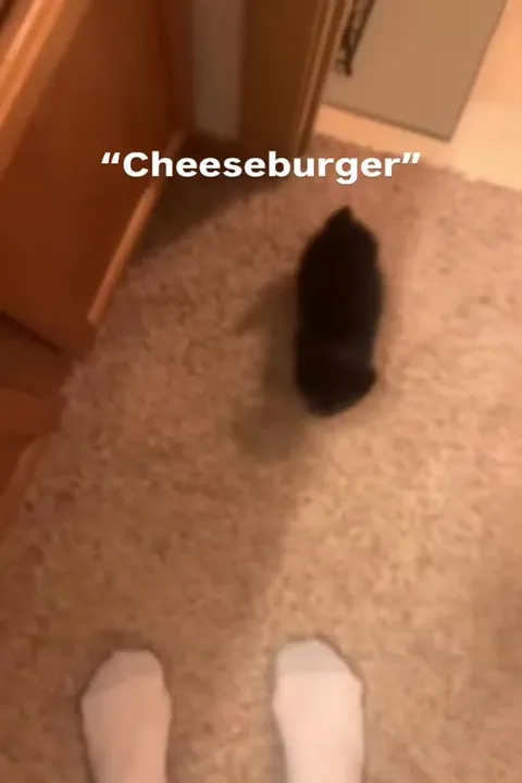 Cheeseburger Mouse Attack
