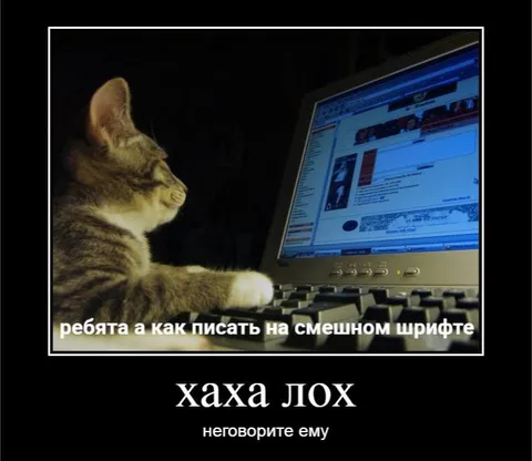 Кот пишет смешным шрифтом