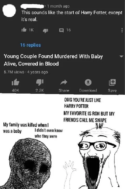 Harry Potter Family Murder Meme