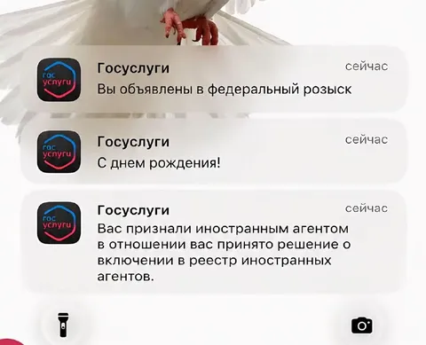 Уведомления от Госуслуг