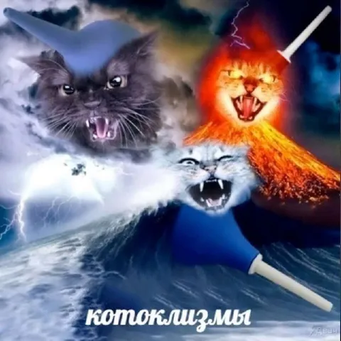 Котоклизмы: ярость стихий