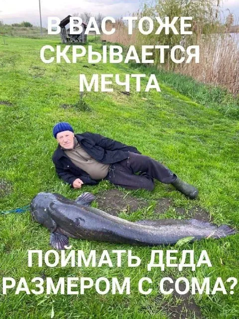 Дед и огромный сом