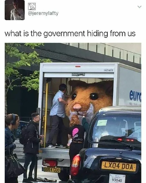 What Is the Government Hiding
