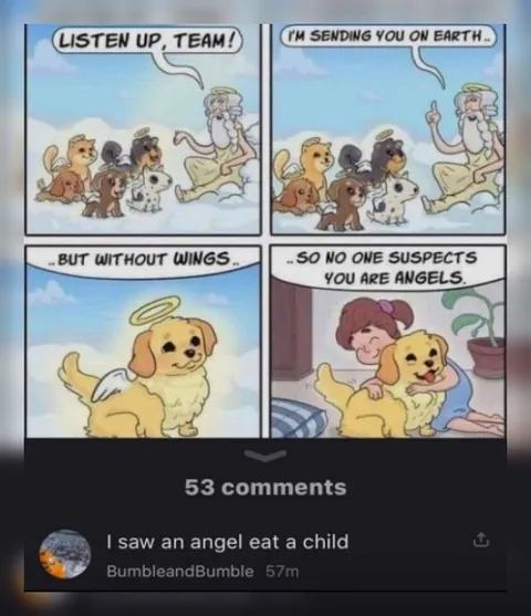 Angel Dog Without Wings