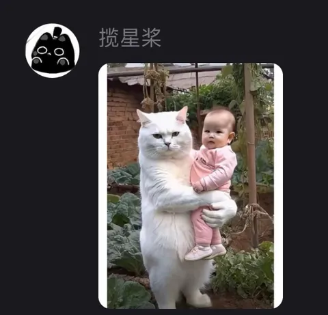 Кот держит ребёнка