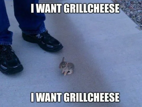 I Want Grillicheese