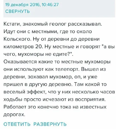 Мухоморы как телепорт