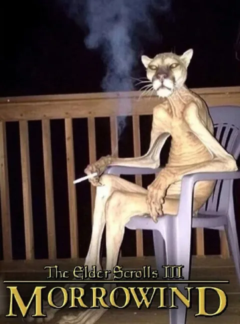 Smoking Morrowind Cat