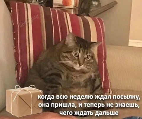 Посылка пришла, а дальше что