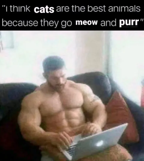 Cats Are the Best Animals