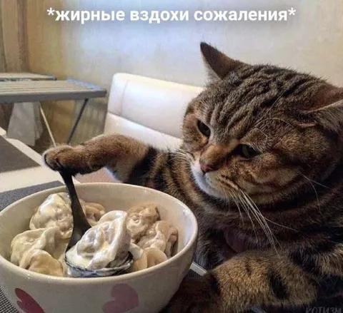 Жирные вздохи сожаления