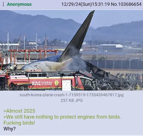 Almost 2025 Bird Protection