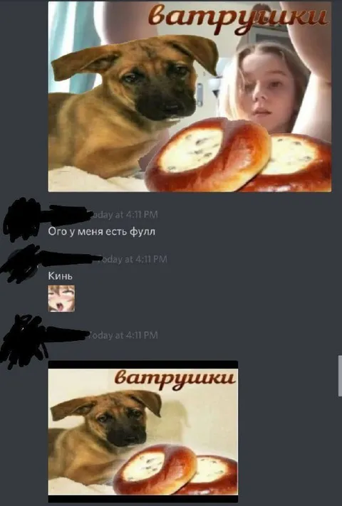 Собака и ватрушки