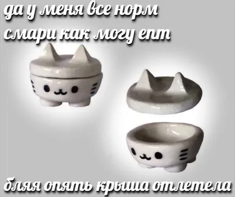 Кошачья миска с отлетевшей крышей